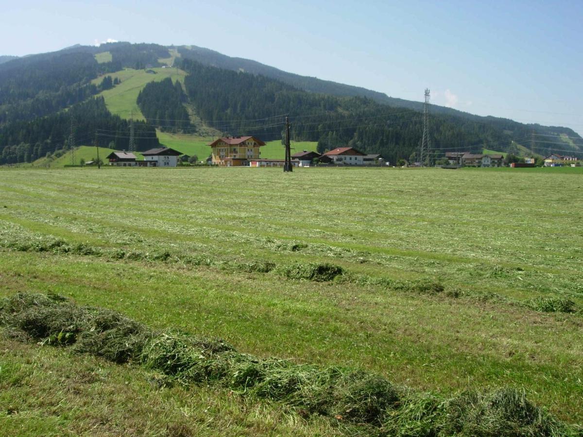 Landhaus Fingerhof 弗拉绍 外观 照片