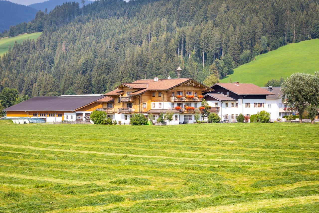 Landhaus Fingerhof 弗拉绍 外观 照片