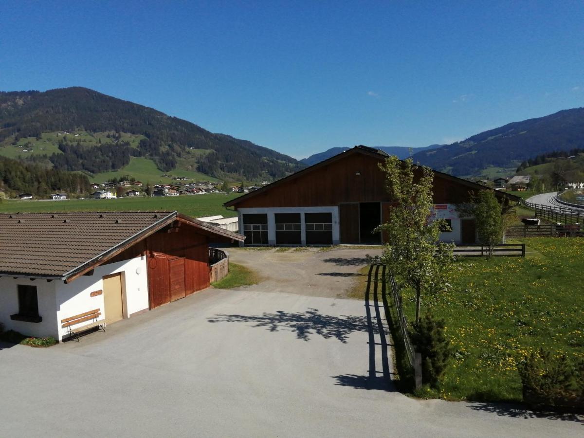 Landhaus Fingerhof 弗拉绍 外观 照片